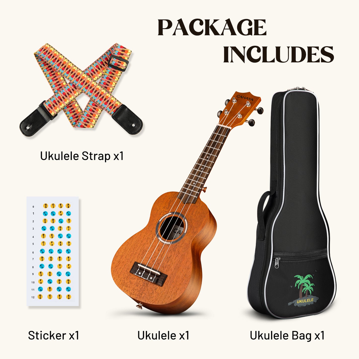 Concert Ukulele 23 Inch Starter Kit