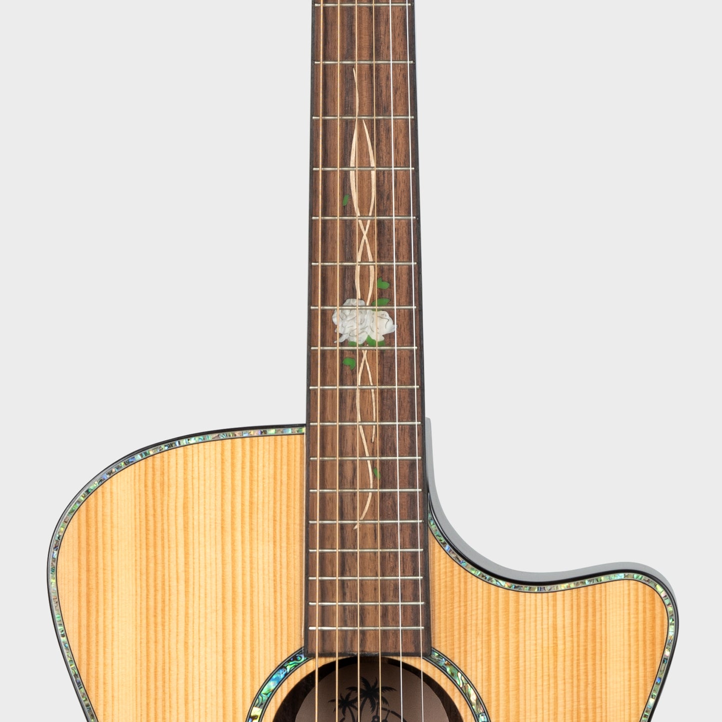 Wood Guitar Series CDC500N