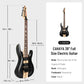 Electric Guitar ST Series CJS500B