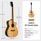 Wood Guitar Series CDC500N