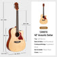 Wood Acoustic Guitar CD100N